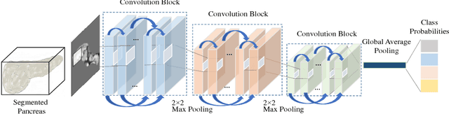 Figure 3 for Differential Diagnosis for Pancreatic Cysts in CT Scans Using Densely-Connected Convolutional Networks
