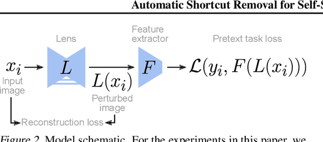 Figure 3 for Automatic Shortcut Removal for Self-Supervised Representation Learning