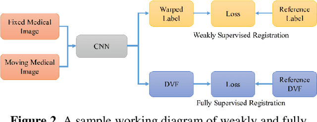 Figure 3 for Deep Learning for Medical Image Registration: A Comprehensive Review