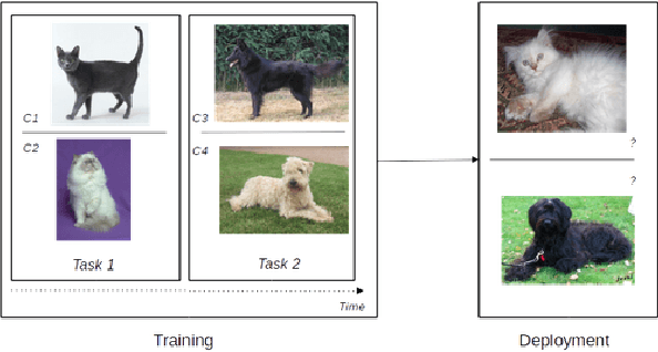 Figure 1 for Continual Learning: Tackling Catastrophic Forgetting in Deep Neural Networks with Replay Processes