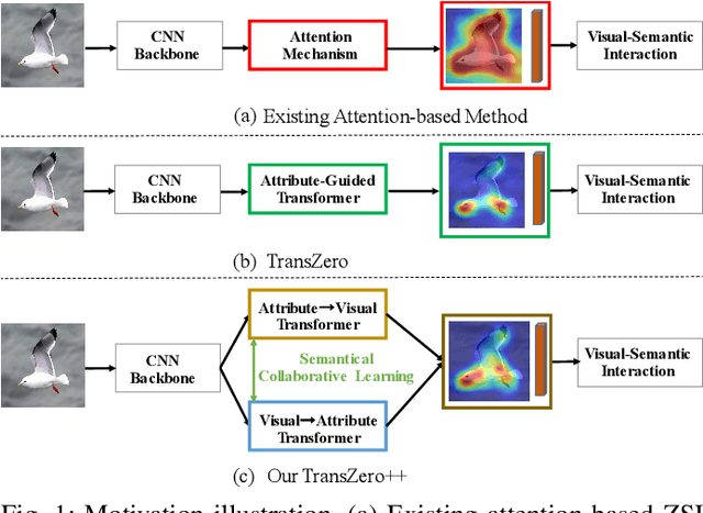 Figure 1 for TransZero++: Cross Attribute-Guided Transformer for Zero-Shot Learning