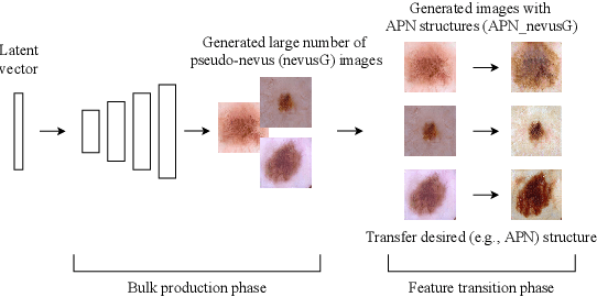 Figure 1 for Bulk Production Augmentation Towards Explainable Melanoma Diagnosis