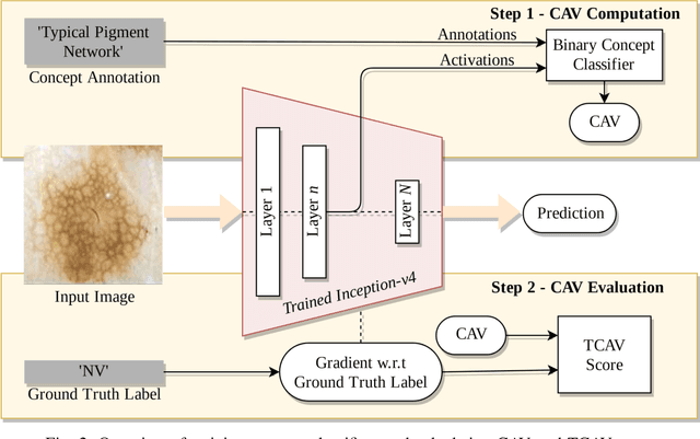 Figure 2 for On Interpretability of Deep Learning based Skin Lesion Classifiers using Concept Activation Vectors