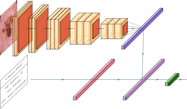 Figure 1 for Combining Image Features and Patient Metadata to Enhance Transfer Learning