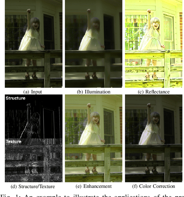 Figure 1 for STAR: A Structure and Texture Aware Retinex Model