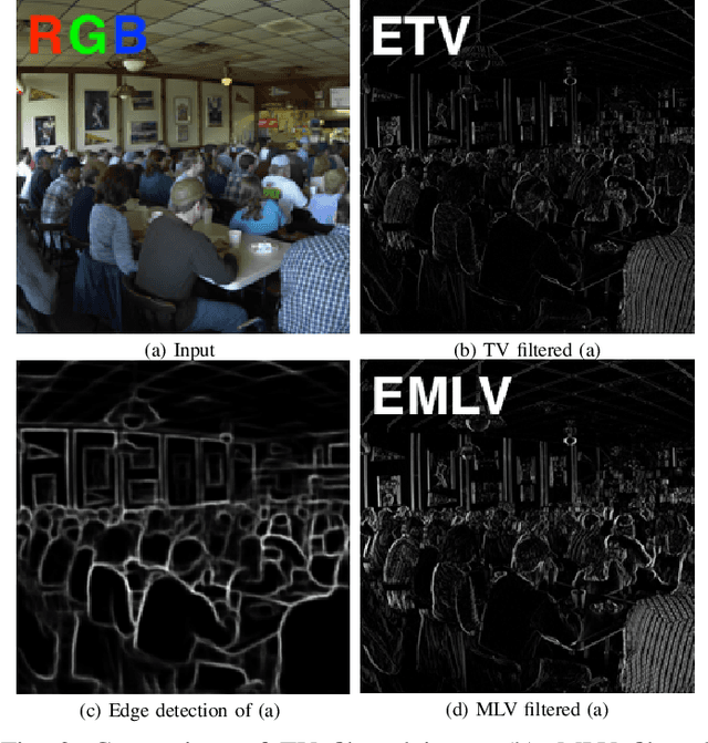 Figure 4 for STAR: A Structure and Texture Aware Retinex Model