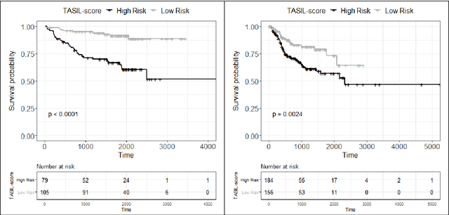 Figure 3 for A digital score of tumour-associated stroma infiltrating lymphocytes predicts survival in head and neck squamous cell carcinoma