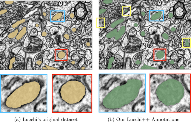 Figure 1 for Fast Mitochondria Segmentation for Connectomics