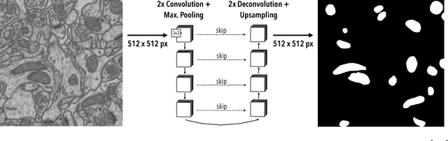 Figure 3 for Fast Mitochondria Segmentation for Connectomics