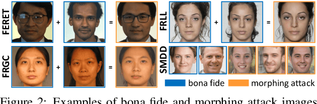 Figure 3 for Face Morphing Attack Detection Using Privacy-Aware Training Data