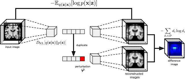 Figure 1 for Loc-VAE: Learning Structurally Localized Representation from 3D Brain MR Images for Content-Based Image Retrieval