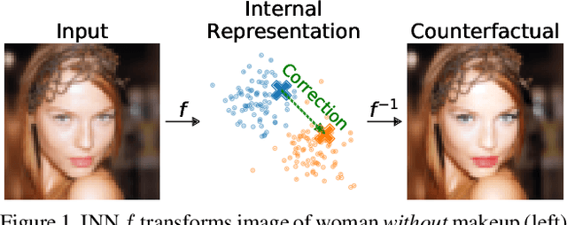 Figure 1 for ECINN: Efficient Counterfactuals from Invertible Neural Networks