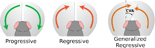 Figure 1 for Generalized Regressive Motion: a Visual Cue to Collision