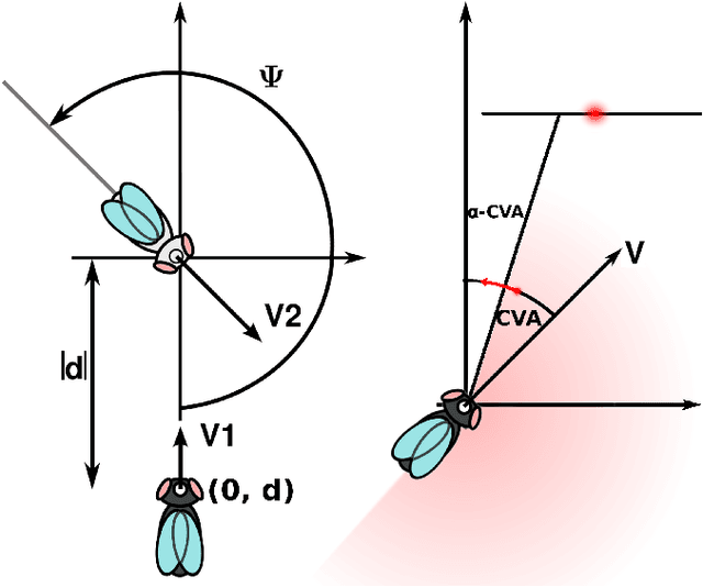 Figure 4 for Generalized Regressive Motion: a Visual Cue to Collision
