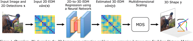 Figure 1 for 3D Human Pose Estimation from a Single Image via Distance Matrix Regression