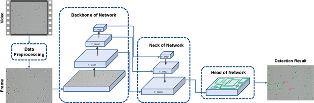 Figure 3 for TOD-CNN: An Effective Convolutional Neural Network for Tiny Object Detection in Sperm Videos