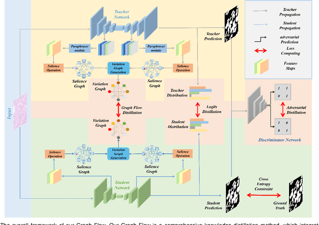 Figure 3 for Graph Flow: Cross-layer Graph Flow Distillation for Dual Efficient Medical Image Segmentation