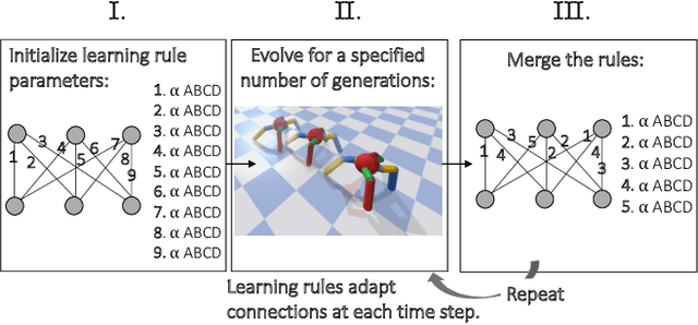 Figure 1 for Evolving and Merging Hebbian Learning Rules: Increasing Generalization by Decreasing the Number of Rules