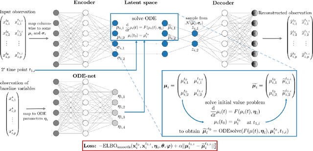 Figure 3 for Deep dynamic modeling with just two time points: Can we still allow for individual trajectories?