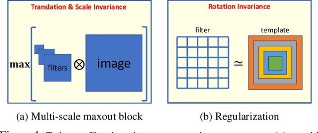 Figure 1 for Towards Learning Affine-Invariant Representations via Data-Efficient CNNs