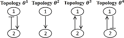 Figure 1 for Inference of Regulatory Networks Through Temporally Sparse Data