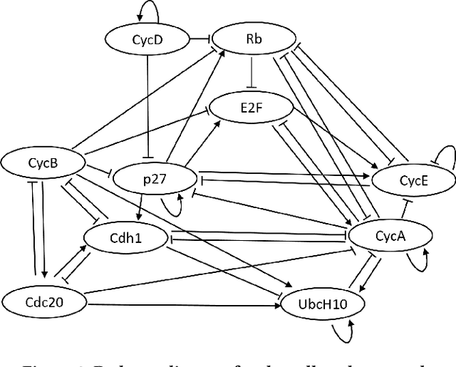 Figure 4 for Inference of Regulatory Networks Through Temporally Sparse Data