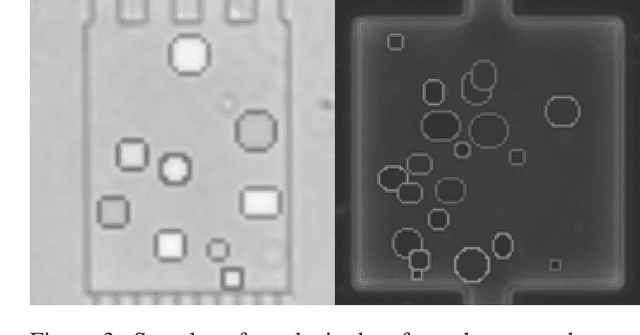 Figure 4 for Towards an Automatic Analysis of CHO-K1 Suspension Growth in Microfluidic Single-cell Cultivation