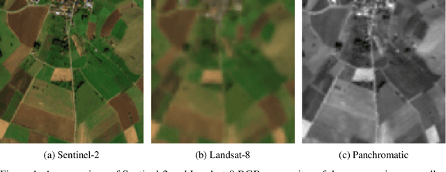 Figure 1 for Towards Transformer-based Homogenization of Satellite Imagery for Landsat-8 and Sentinel-2