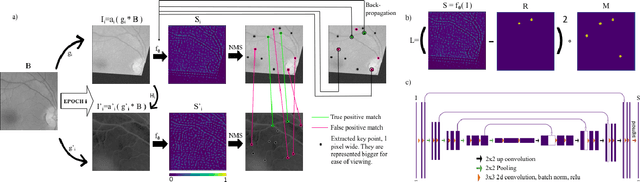 Figure 3 for GLAMpoints: Greedily Learned Accurate Match points