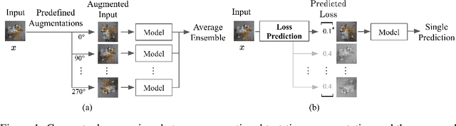 Figure 1 for Learning Loss for Test-Time Augmentation