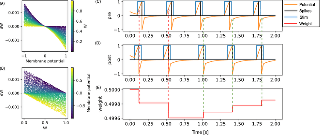 Figure 2 for Voltage-Dependent Synaptic Plasticity (VDSP): Unsupervised probabilistic Hebbian plasticity rule based on neurons membrane potential