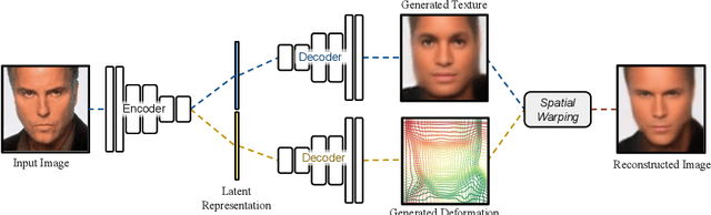 Figure 1 for Deforming Autoencoders: Unsupervised Disentangling of Shape and Appearance