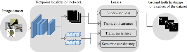 Figure 1 for Semi-supervised Keypoint Localization