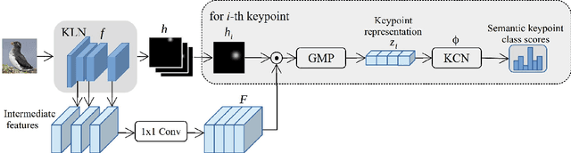 Figure 3 for Semi-supervised Keypoint Localization