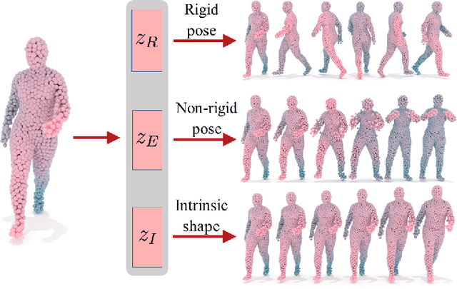 Figure 1 for Disentangling Geometric Deformation Spaces in Generative Latent Shape Models