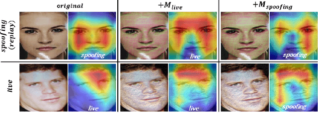 Figure 1 for Exposing Fine-grained Adversarial Vulnerability of Face Anti-spoofing Models