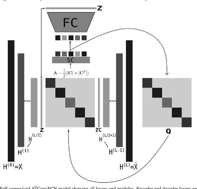 Figure 1 for Robust Self-Supervised Convolutional Neural Network for Subspace Clustering and Classification