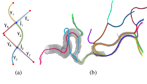 Figure 2 for Cylindrical Shape Decomposition Algorithm for 3D Segmentation