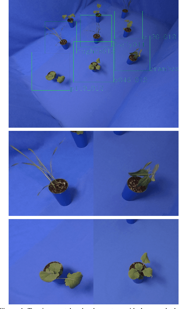 Figure 2 for Presenting an extensive lab- and field-image dataset of crops and weeds for computer vision tasks in agriculture