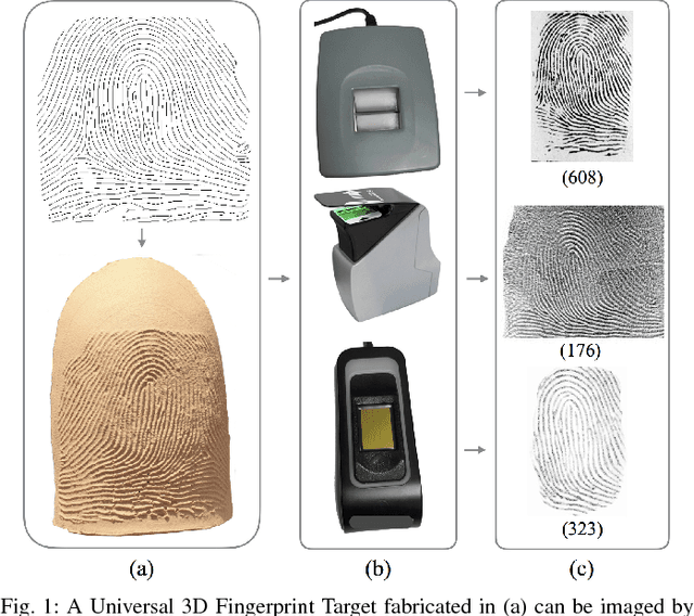 Figure 1 for Universal 3D Wearable Fingerprint Targets: Advancing Fingerprint Reader Evaluations