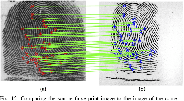 Figure 4 for Universal 3D Wearable Fingerprint Targets: Advancing Fingerprint Reader Evaluations