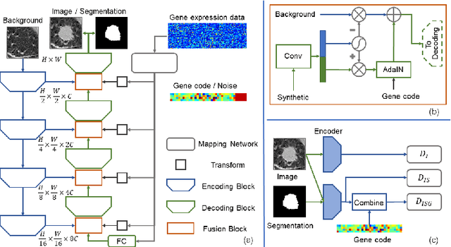 Figure 1 for Correlation via synthesis: end-to-end nodule image generation and radiogenomic map learning based on generative adversarial network
