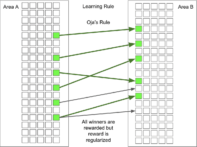 Figure 3 for Effects of Plasticity Functions on Neural Assemblies
