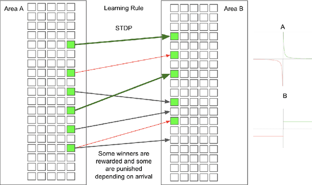 Figure 4 for Effects of Plasticity Functions on Neural Assemblies