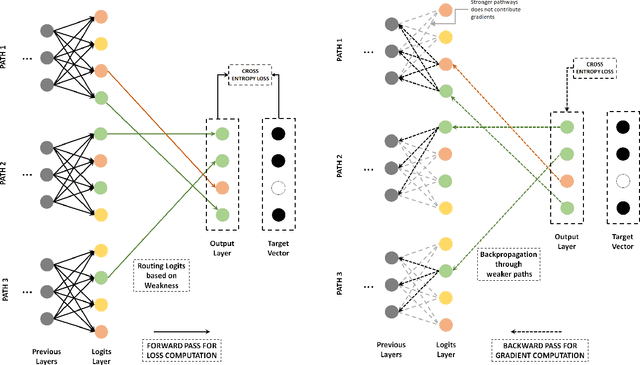 Figure 1 for GuideBP: Guiding Backpropagation Through Weaker Pathways of Parallel Logits