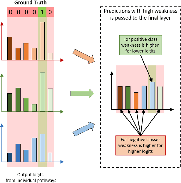Figure 3 for GuideBP: Guiding Backpropagation Through Weaker Pathways of Parallel Logits