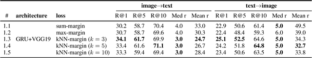 Figure 1 for A Strong and Robust Baseline for Text-Image Matching