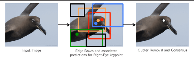 Figure 1 for Part Localization using Multi-Proposal Consensus for Fine-Grained Categorization