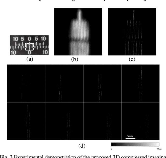Figure 3 for Single-shot Compressed 3D Imaging by Exploiting Random Scattering and Astigmatism