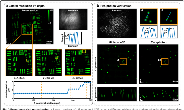 Figure 2 for Miniscope3D: optimized single-shot miniature 3D fluorescence microscopy